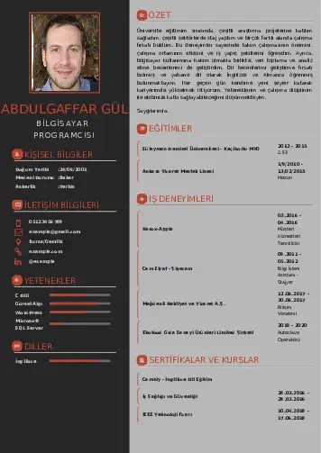 Bilgisayar Programcısı CV Örnekleri cv indir
